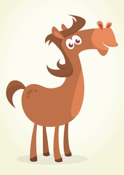 Funny cartoon horse illustration vector