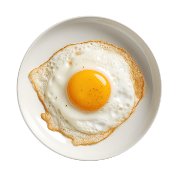 Fried egg on white plate isolated png
