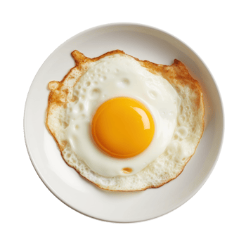 Fried egg on white plate isolated png
