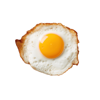 Fried egg on white plate isolated png