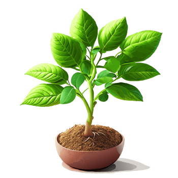Watercolor Young green plant growing. AI generative png