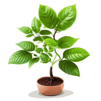 Watercolor Young green plant growing. AI generative png