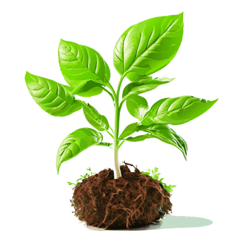 Watercolor Young green plant growing. AI generative png