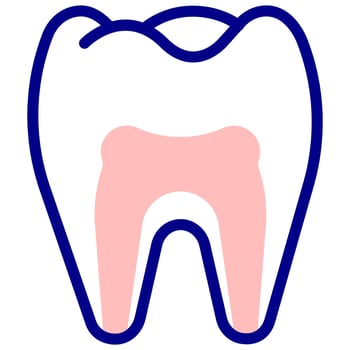 tooth anatomy vector colored icon