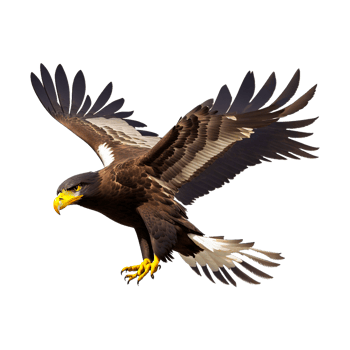Bald Eagle White-tailed Eagle Bird , eagle transparent background PNG generative ai