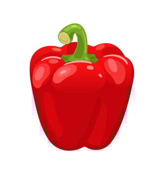 Red bell pepper. Fresh vegetables. Vector illustration