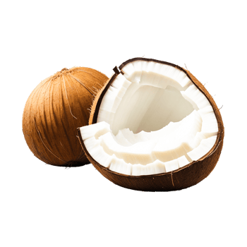 Fresh ripe coconut half cut pieces on transparent background generative ai png