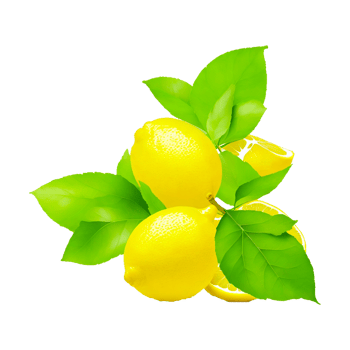 Yellow lemon fruit with leaves transparent background PNG generative ai