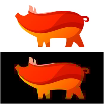 pig colorful gradient style vector design