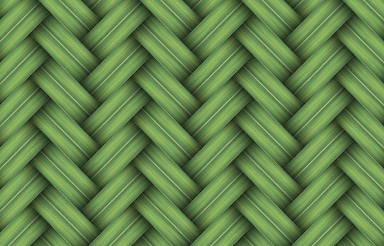 woven palm leaf pattern texture background vector