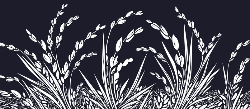 Rice plant, white grain Vector paddy field Graphic