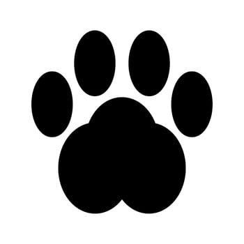 Footprint Icon Vector Symbol Design Illustration