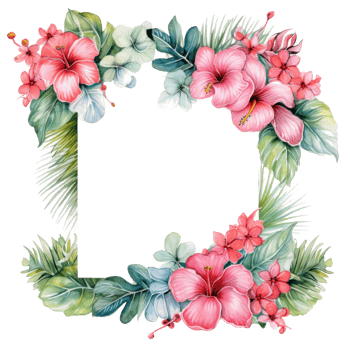 Tropical natural frame isolated png