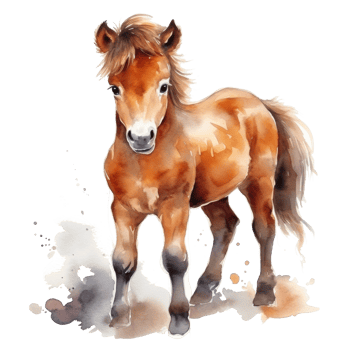 Cute watercolor pony isolated png