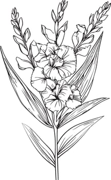 august birth flower gladiolus, gladiolus august birth month flower, gladiolus august birth flower drawing, outline gladiolus drawing, tattoo gladiolus flower drawing, black gladiolus tattoo, vector
