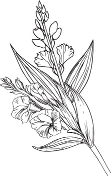 august birth flower tattoo black and white, august birth flower gladiolus, gladiolus august birth month flower, gladiolus august birth flower drawing, outline gladiolus drawing vector