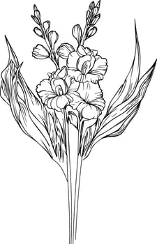tattoo gladiolus flower drawing, black gladiolus tattoo, black small gladiolus tattoo, minimalist gladiolus flower tattoo, wrist gladiolus tattoo simple, women's gladiolus tattoo vector