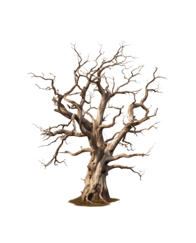 dead tree on transparent background png