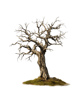 dead tree on transparent background png