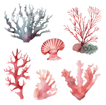 Set of sea corals on a white background, watercolor illustration. png