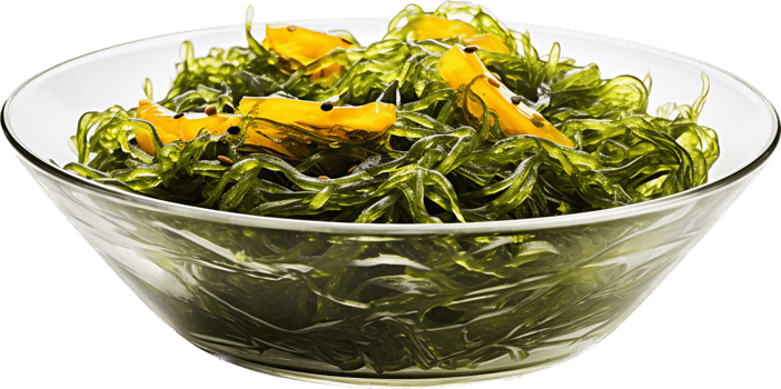 Seaweed png with AI generated.