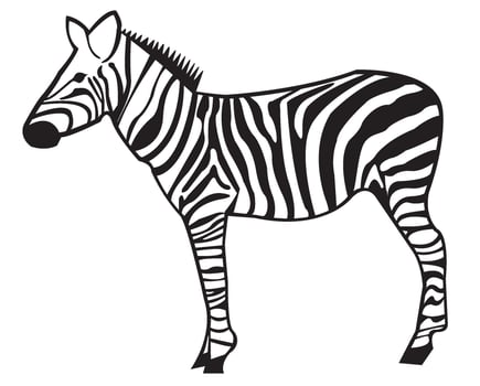 black and white zebra icon vector