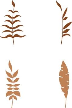 Boho Leaves, branches, twigs. Collection of botanical home wall art decor boho elements isolated on white background. Leaves design bundle vector
