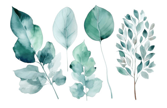 Watercolor set of eucalyptus on a transparent background. AI generated illustration. png