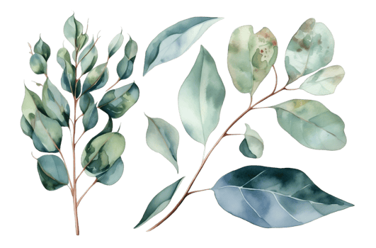 Watercolor set of eucalyptus on a transparent background. AI generated illustration. png