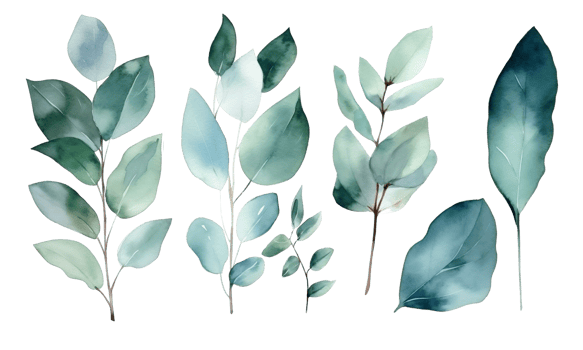 Watercolor set of eucalyptus on a transparent background. AI generated illustration. png