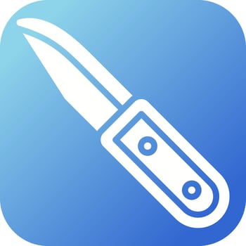 Pocket knife Vector Icon
