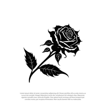 black and white rose flowers silhouette vector ,rose illustration, flower silhouette