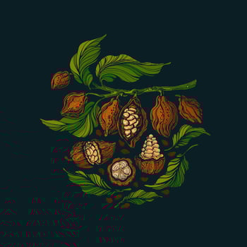 Cacao texture set. Vector graphic tree, art bean