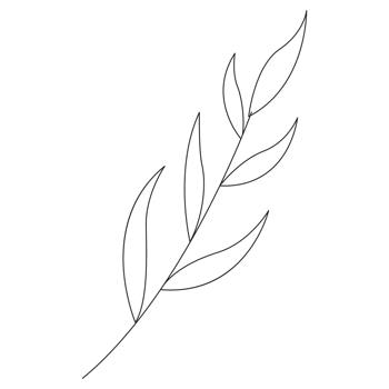 Leaf 2 Easter Outline 2D Illustrations png