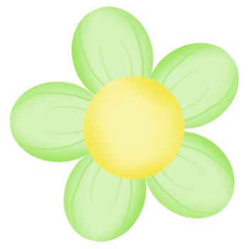 Colorful little daisy png