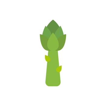 Asparagus flat design vector illustration. Vegetable illustration for farm market menu. Asparagus sprout. Vegetarian nutrition, healthy food design