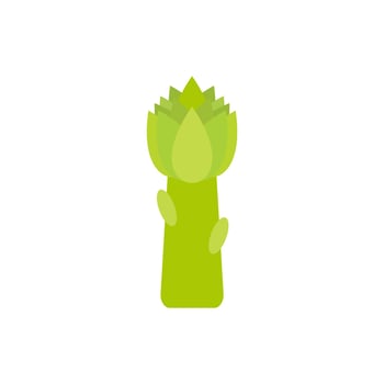 Asparagus flat design vector illustration. Vegetable illustration for farm market menu. Asparagus sprout. Vegetarian nutrition, healthy food design