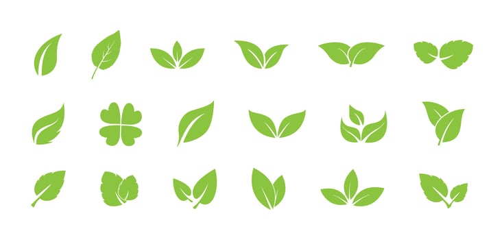 green leaf ecology nature element vector icon. leaf icon vector design template simple and clean