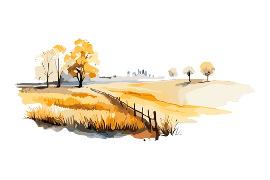 Watercolor golden field with crops on transparent background, PNG. Hand-drawn golden agriculture, cultivation, countryside landscape field for t-shirts, book covers, and print media decorations png