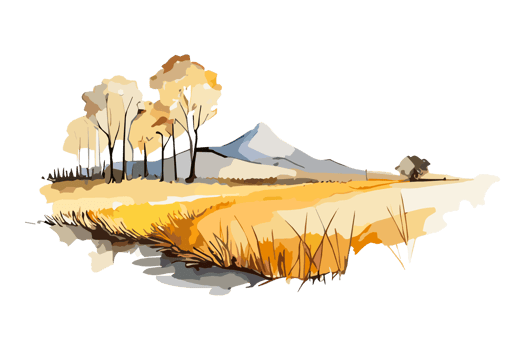 Watercolor golden field with crops on transparent background, PNG. Hand-drawn golden agriculture, cultivation, countryside landscape field for t-shirts, book covers, and print media decorations png