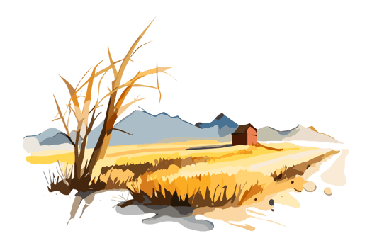 Watercolor golden field with crops on transparent background, PNG. Hand-drawn golden agriculture, cultivation, countryside landscape field for t-shirts, book covers, and print media decorations png