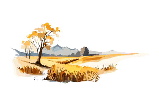 Watercolor golden field with crops on transparent background, PNG. Hand-drawn golden agriculture, cultivation, countryside landscape field for t-shirts, book covers, and print media decorations png