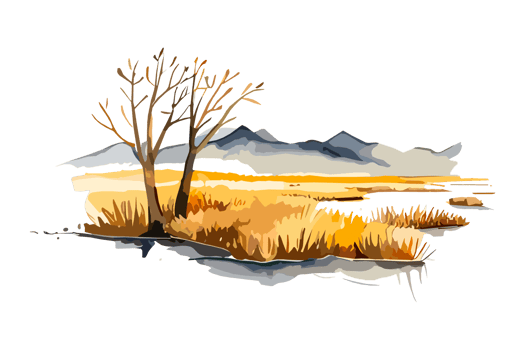 Watercolor golden field with crops on transparent background, PNG. Hand-drawn golden agriculture, cultivation, countryside landscape field for t-shirts, book covers, and print media decorations png