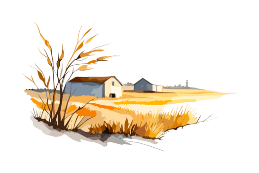 Watercolor golden field with crops on transparent background, PNG. Hand-drawn golden agriculture, cultivation, countryside landscape field for t-shirts, book covers, and print media decorations png