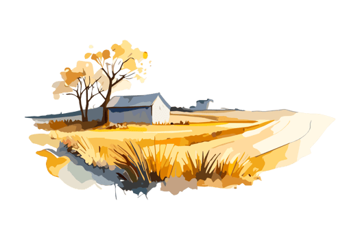 Watercolor golden field with crops on transparent background, PNG. Hand-drawn golden agriculture, cultivation, countryside landscape field for t-shirts, book covers, and print media decorations png