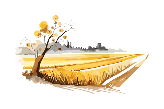 Watercolor golden field with crops on transparent background, PNG. Hand-drawn golden agriculture, cultivation, countryside landscape field for t-shirts, book covers, and print media decorations png