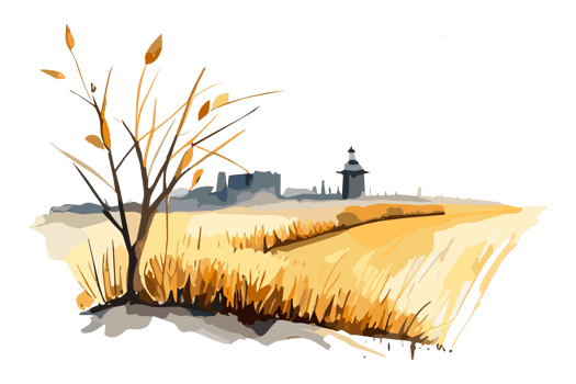 Watercolor golden field with crops on transparent background, PNG. Hand-drawn golden agriculture, cultivation, countryside landscape field for t-shirts, book covers, and print media decorations png