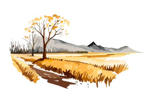 Watercolor golden field with crops on transparent background, PNG. Hand-drawn golden agriculture, cultivation, countryside landscape field for t-shirts, book covers, and print media decorations png