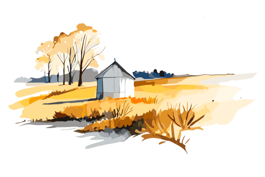 Watercolor golden field with crops on transparent background, PNG. Hand-drawn golden agriculture, cultivation, countryside landscape field for t-shirts, book covers, and print media decorations png