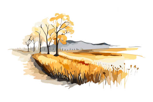 Watercolor golden field with crops on transparent background, PNG. Hand-drawn golden agriculture, cultivation, countryside landscape field for t-shirts, book covers, and print media decorations png